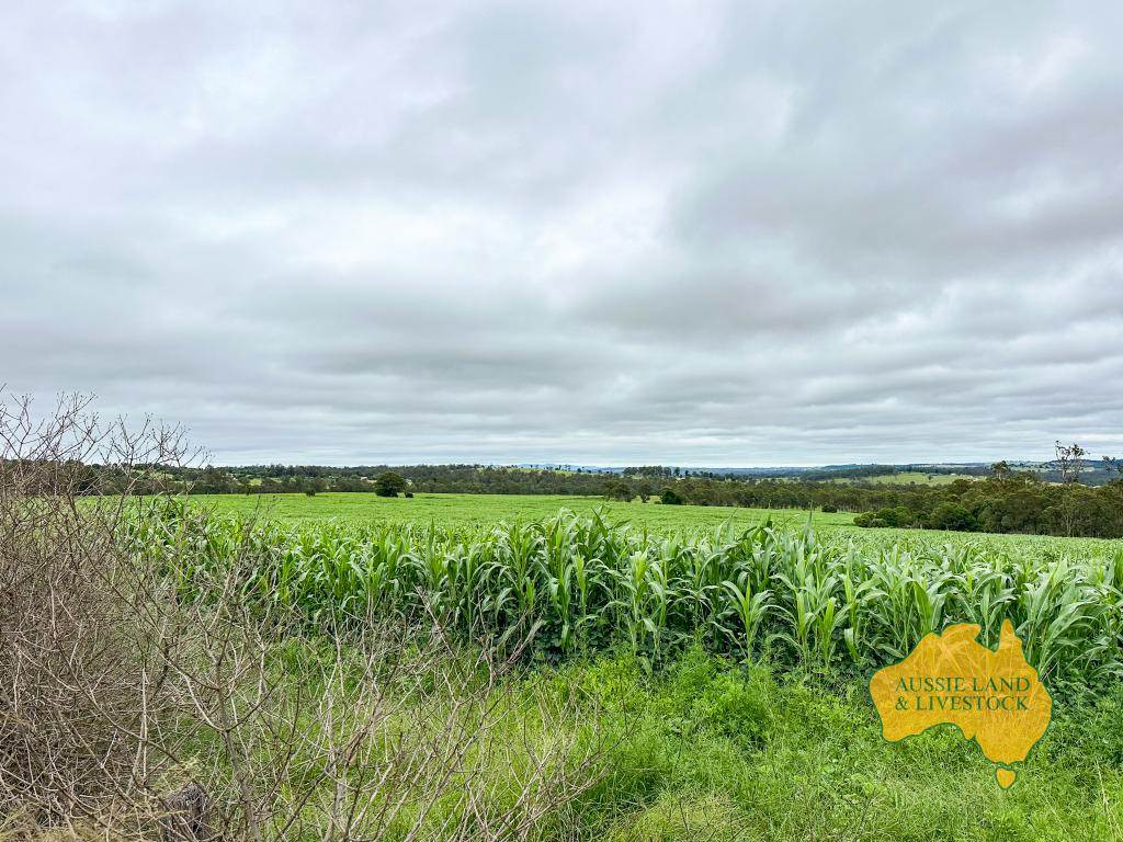. Cnr Lanigan Road & East Nanango Grindstone Road, Glan Devon For Sale by Farmbuy.com - image 7