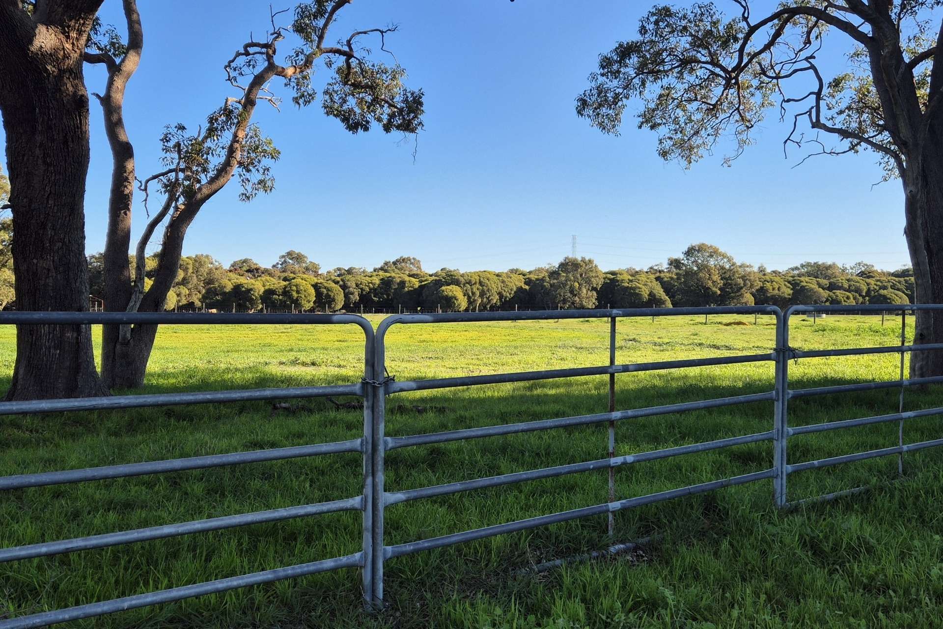 446 Gingin Brook Road, Muckenburra For Sale by Farmbuy.com - image 26