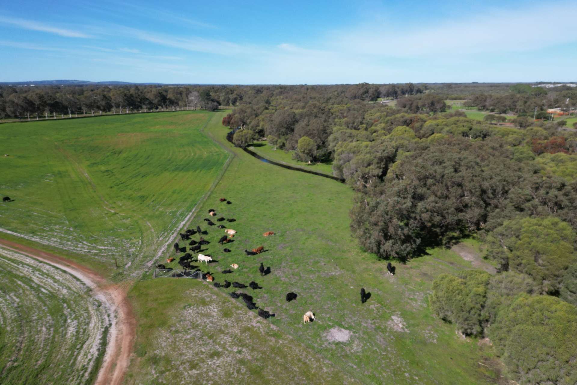 446 Gingin Brook Road, Muckenburra For Sale by Farmbuy.com - image 33