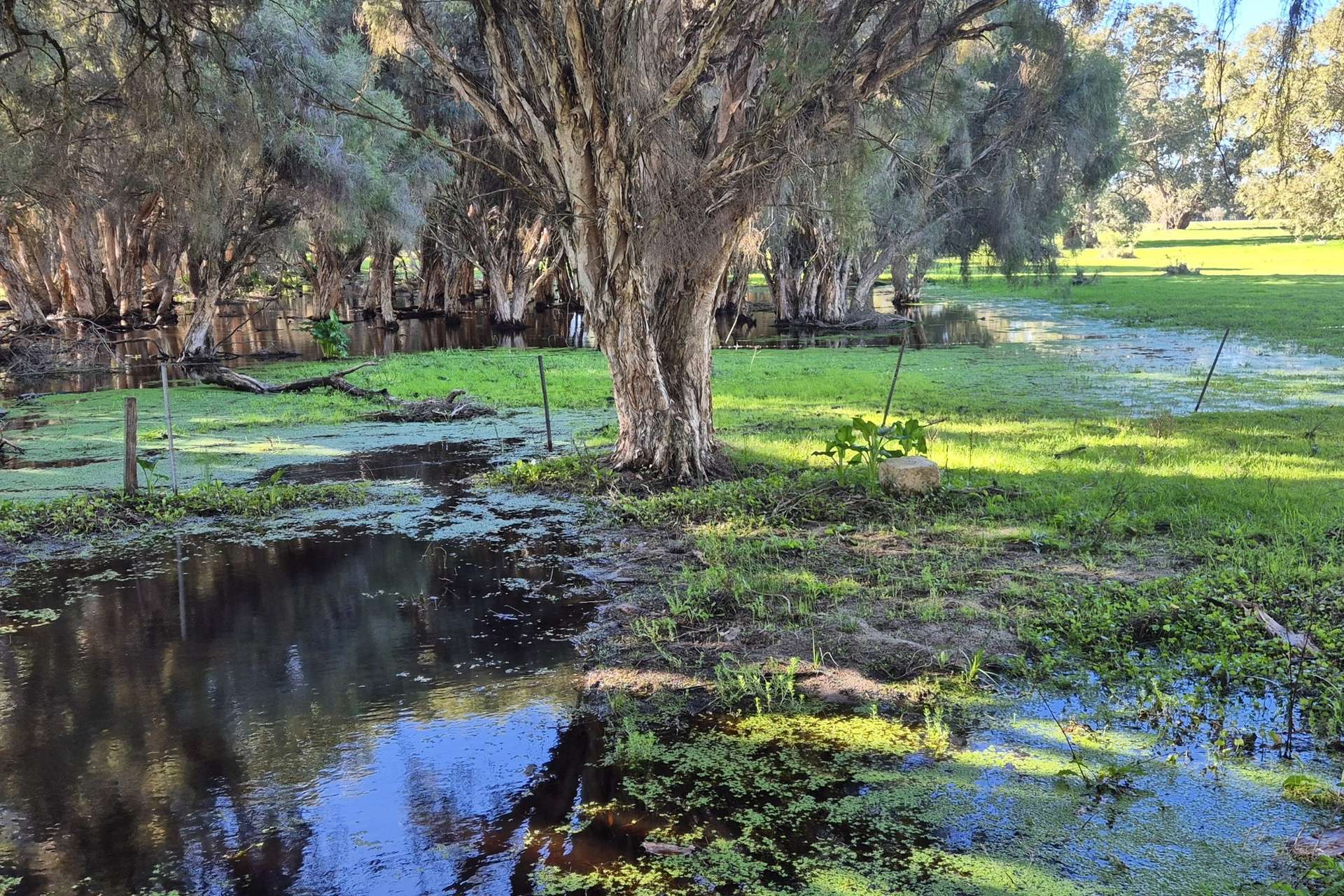 446 Gingin Brook Road, Muckenburra For Sale by Farmbuy.com - image 25