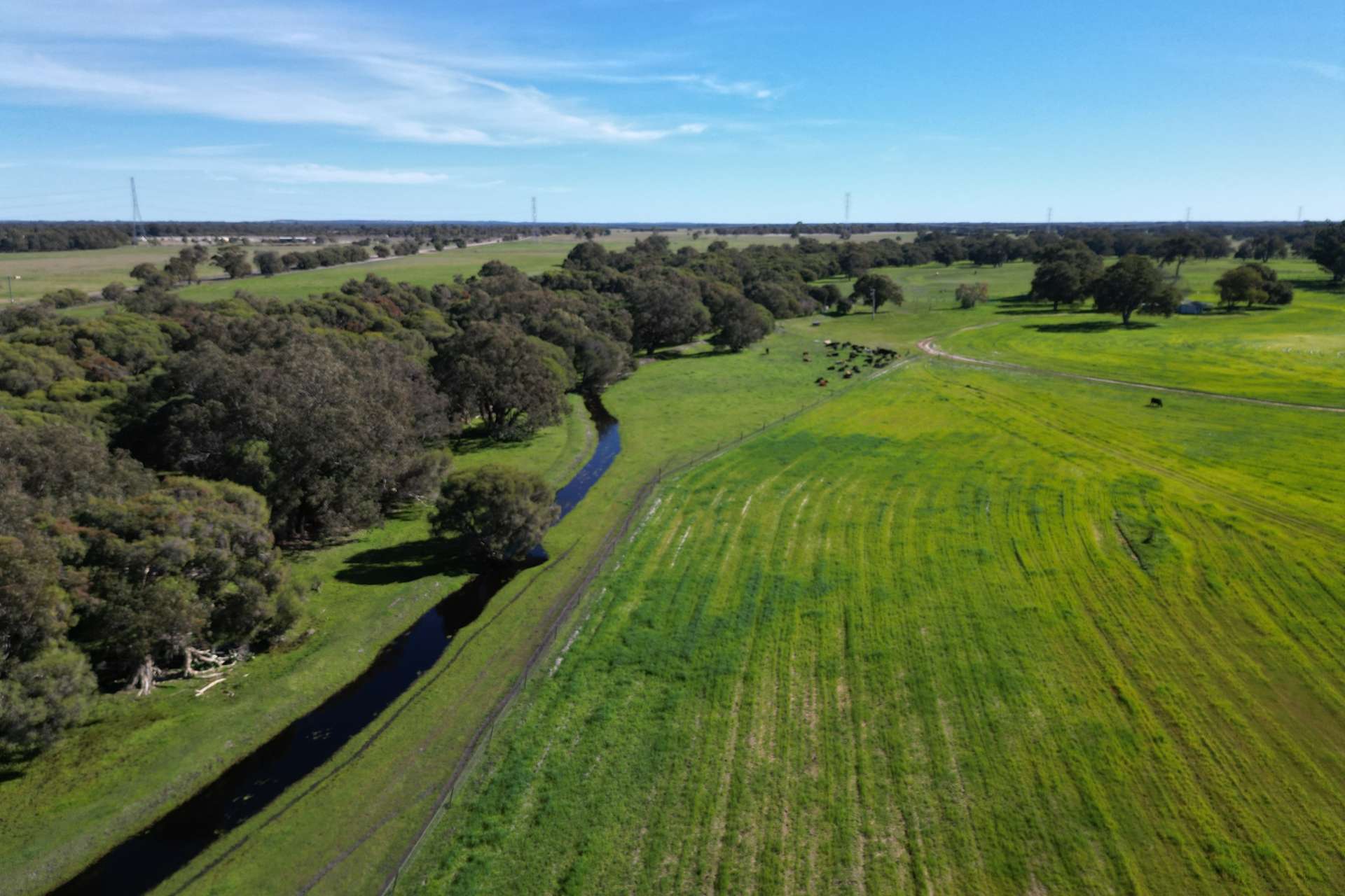 446 Gingin Brook Road, Muckenburra For Sale by Farmbuy.com - image 2