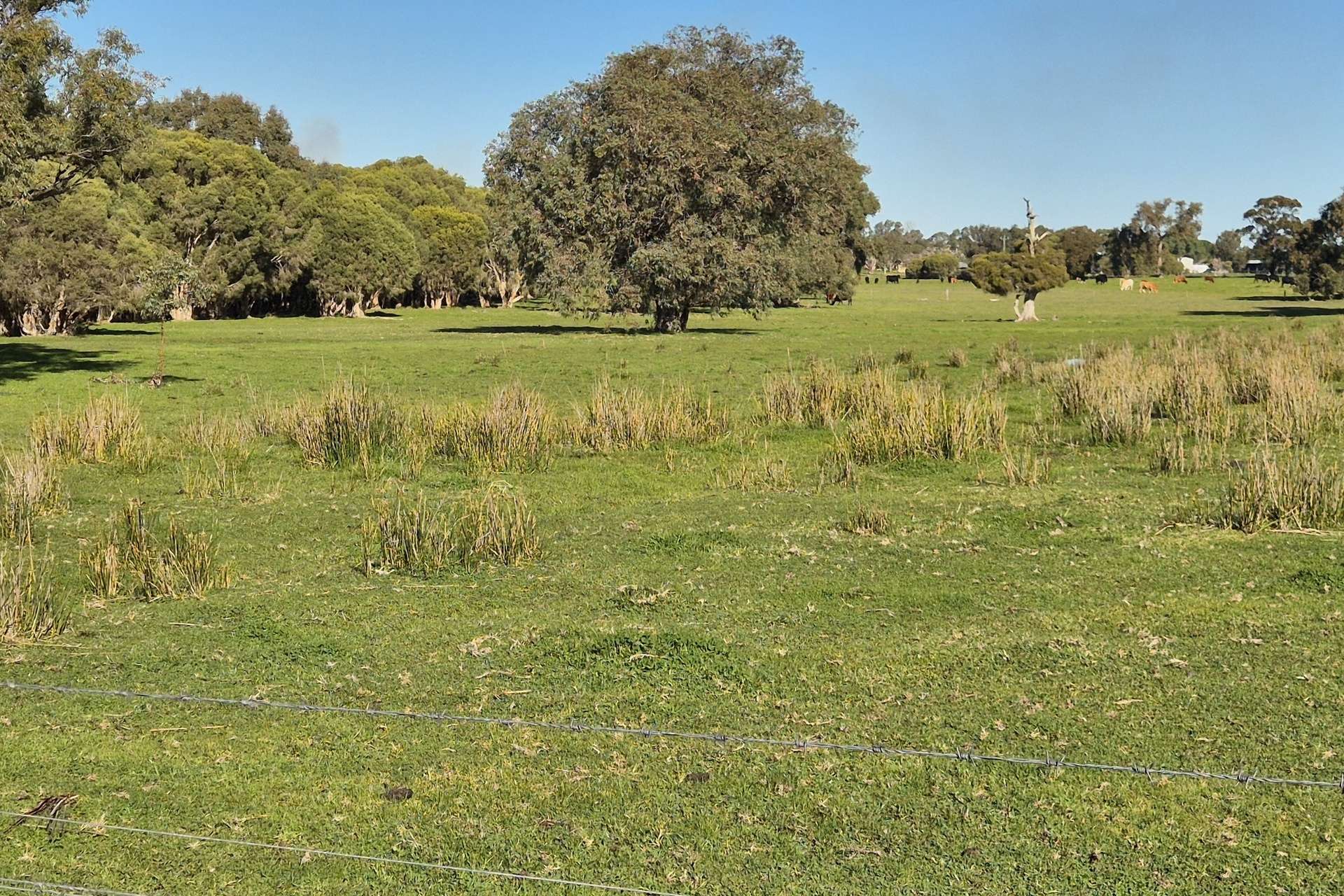 446 Gingin Brook Road, Muckenburra For Sale by Farmbuy.com - image 19