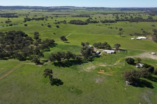 Farm For Sale - WA - Muckenburra - 6503 - Prime Location. Exceptional Opportunity. 