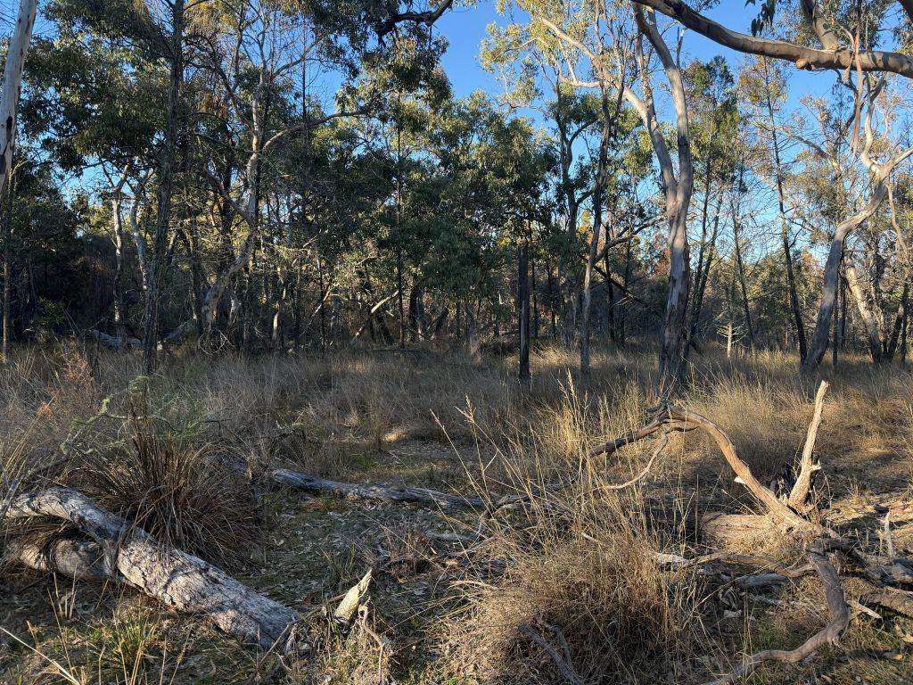 Lot 2 Winkler Road, Glen Aplin For Sale by Farmbuy.com - image 21