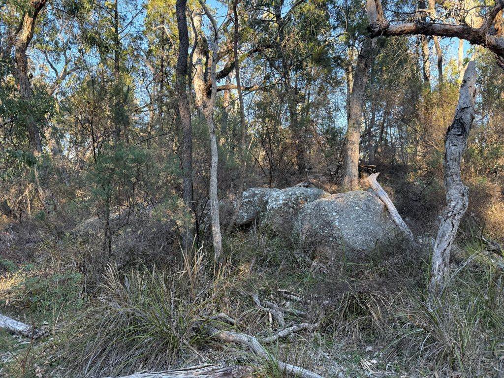 Lot 2 Winkler Road, Glen Aplin For Sale by Farmbuy.com - image 2