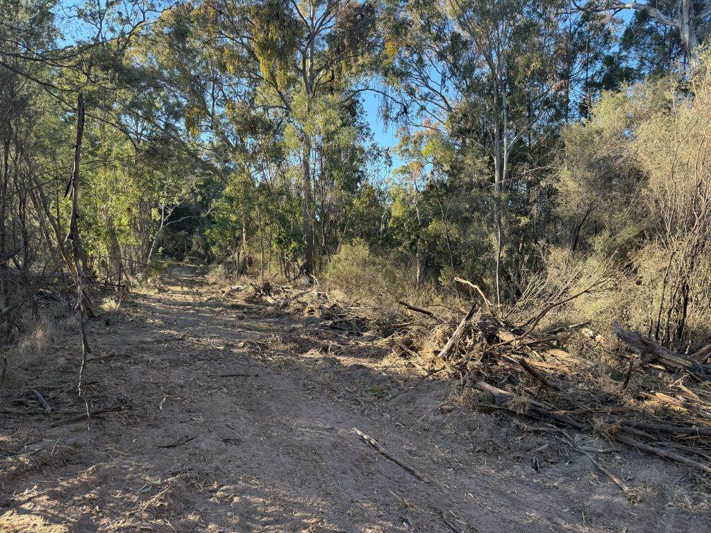Lot 2 Winkler Road, Glen Aplin For Sale by Farmbuy.com - image 7