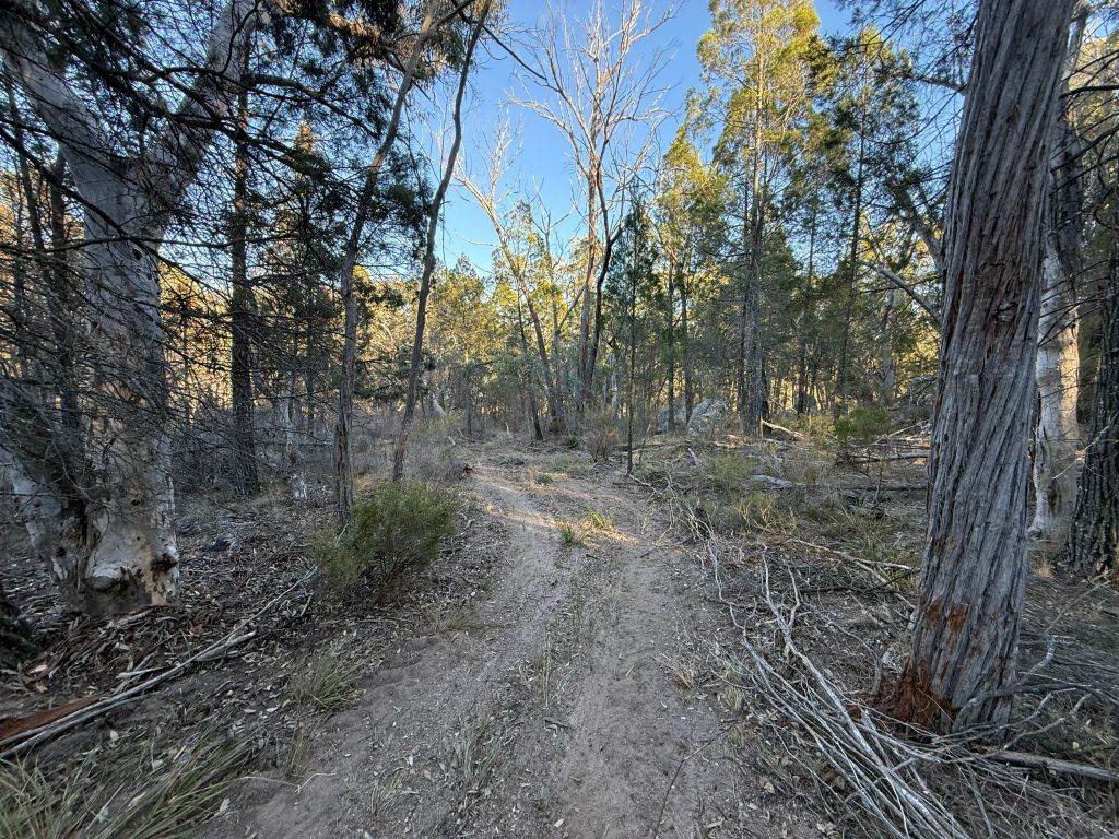 Lot 2 Winkler Road, Glen Aplin For Sale by Farmbuy.com - image 12