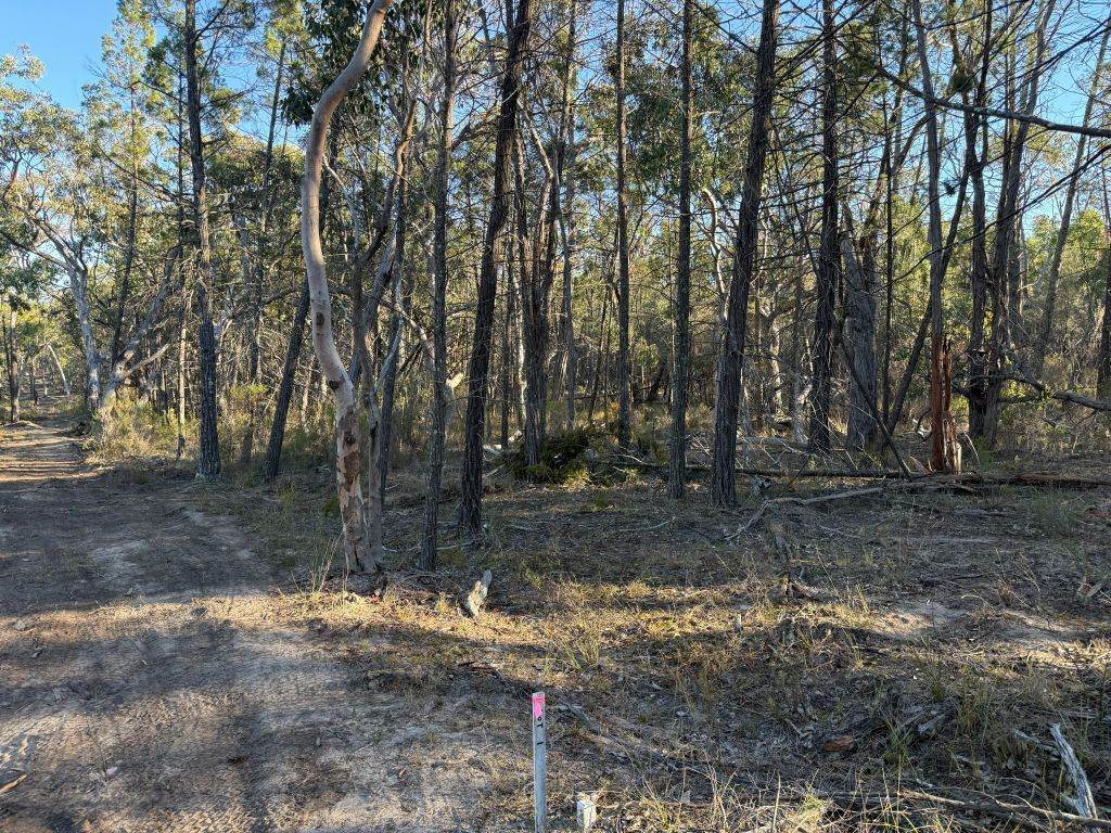 Lot 2 Winkler Road, Glen Aplin For Sale by Farmbuy.com - image 18