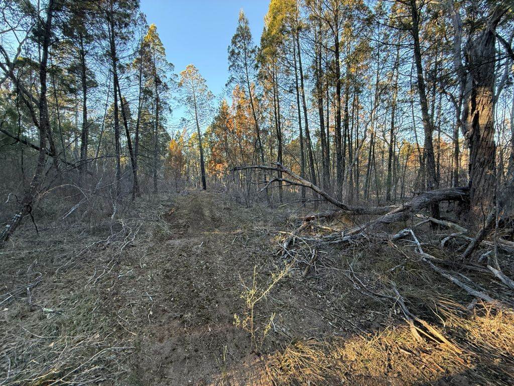 Lot 2 Winkler Road, Glen Aplin For Sale by Farmbuy.com - image 13