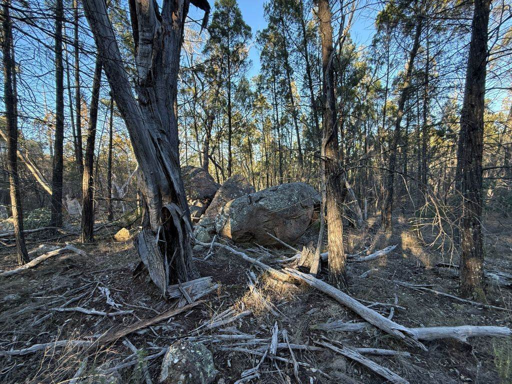Lot 2 Winkler Road, Glen Aplin For Sale by Farmbuy.com - image 14