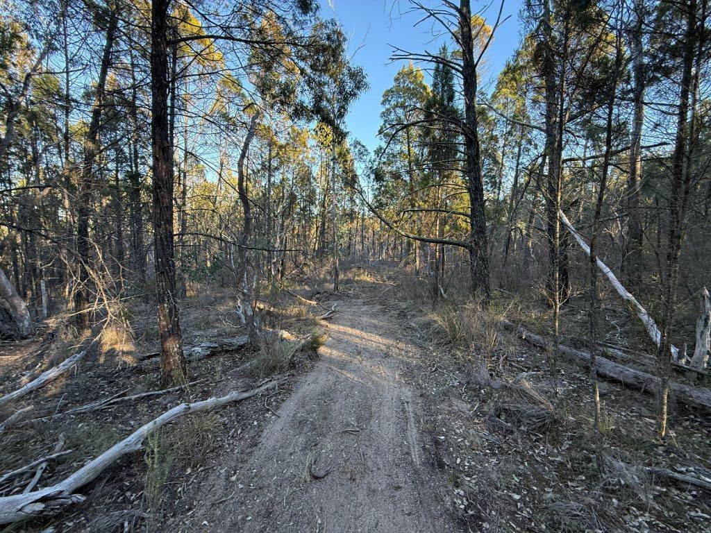 Lot 2 Winkler Road, Glen Aplin For Sale by Farmbuy.com - image 15
