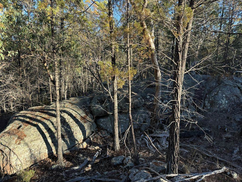 Lot 2 Winkler Road, Glen Aplin For Sale by Farmbuy.com - image 10