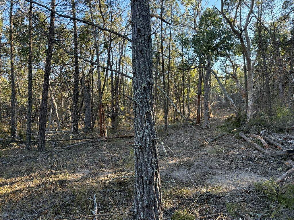 Lot 2 Winkler Road, Glen Aplin For Sale by Farmbuy.com - image 16