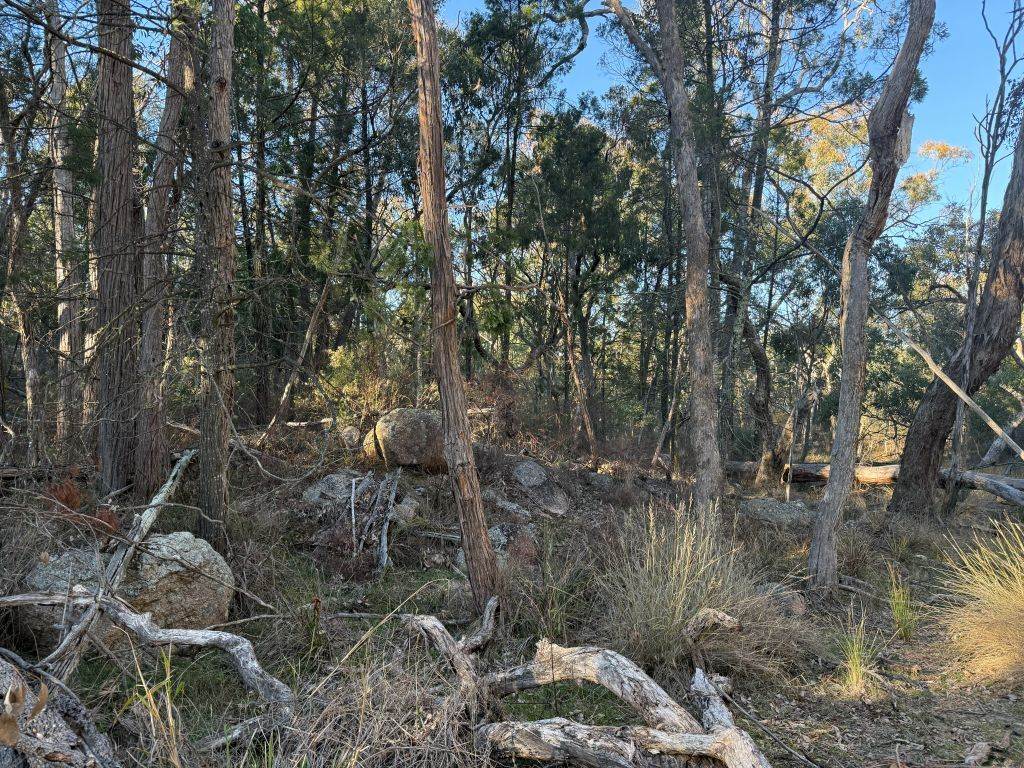 Lot 2 Winkler Road, Glen Aplin For Sale by Farmbuy.com - image 8