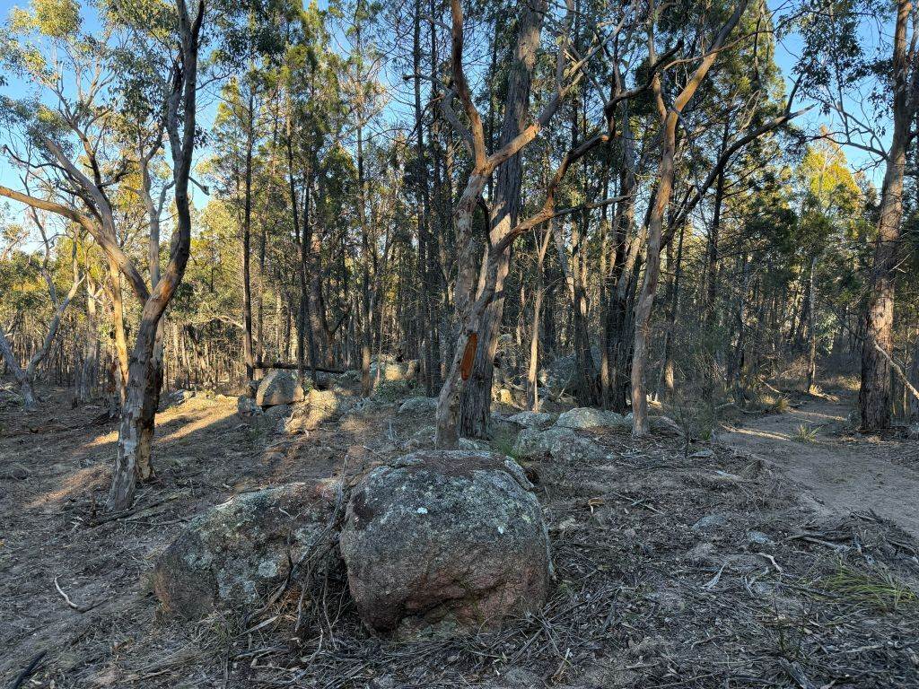 Lot 2 Winkler Road, Glen Aplin For Sale by Farmbuy.com - image 19