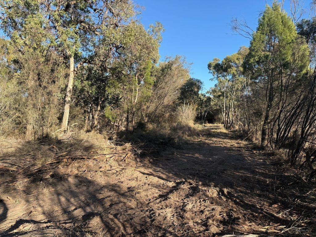 Lot 2 Winkler Road, Glen Aplin For Sale by Farmbuy.com - image 20