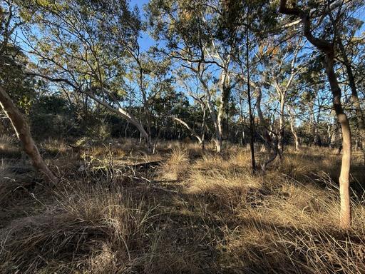 Farm For Sale - QLD - Glen Aplin - 4381 - Your own Private natural bushland only minutes South of Stanthorpe 