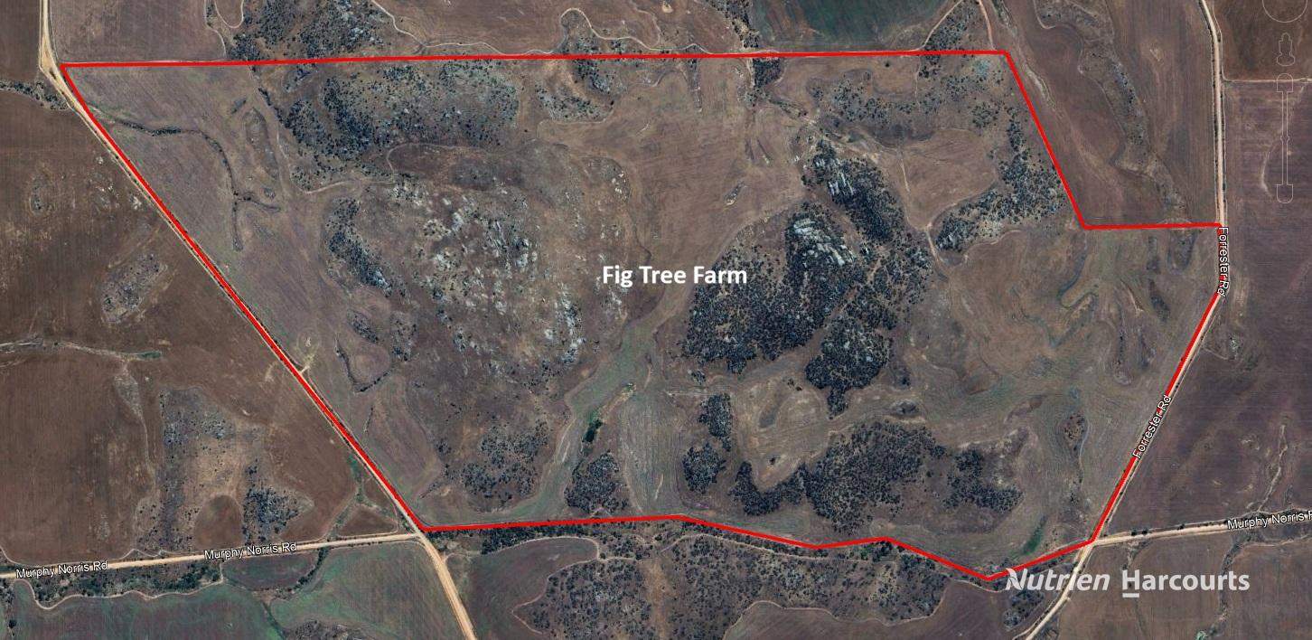 Lot 65 Forrester Road, Mount Erin For Sale by Farmbuy.com - image 16