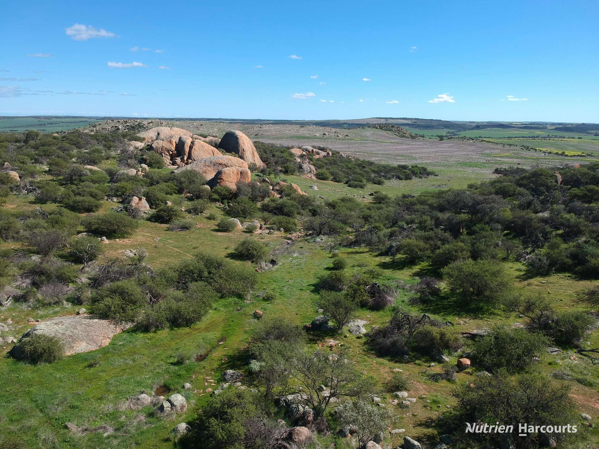 Lot 65 Forrester Road, Mount Erin For Sale by Farmbuy.com - image 10