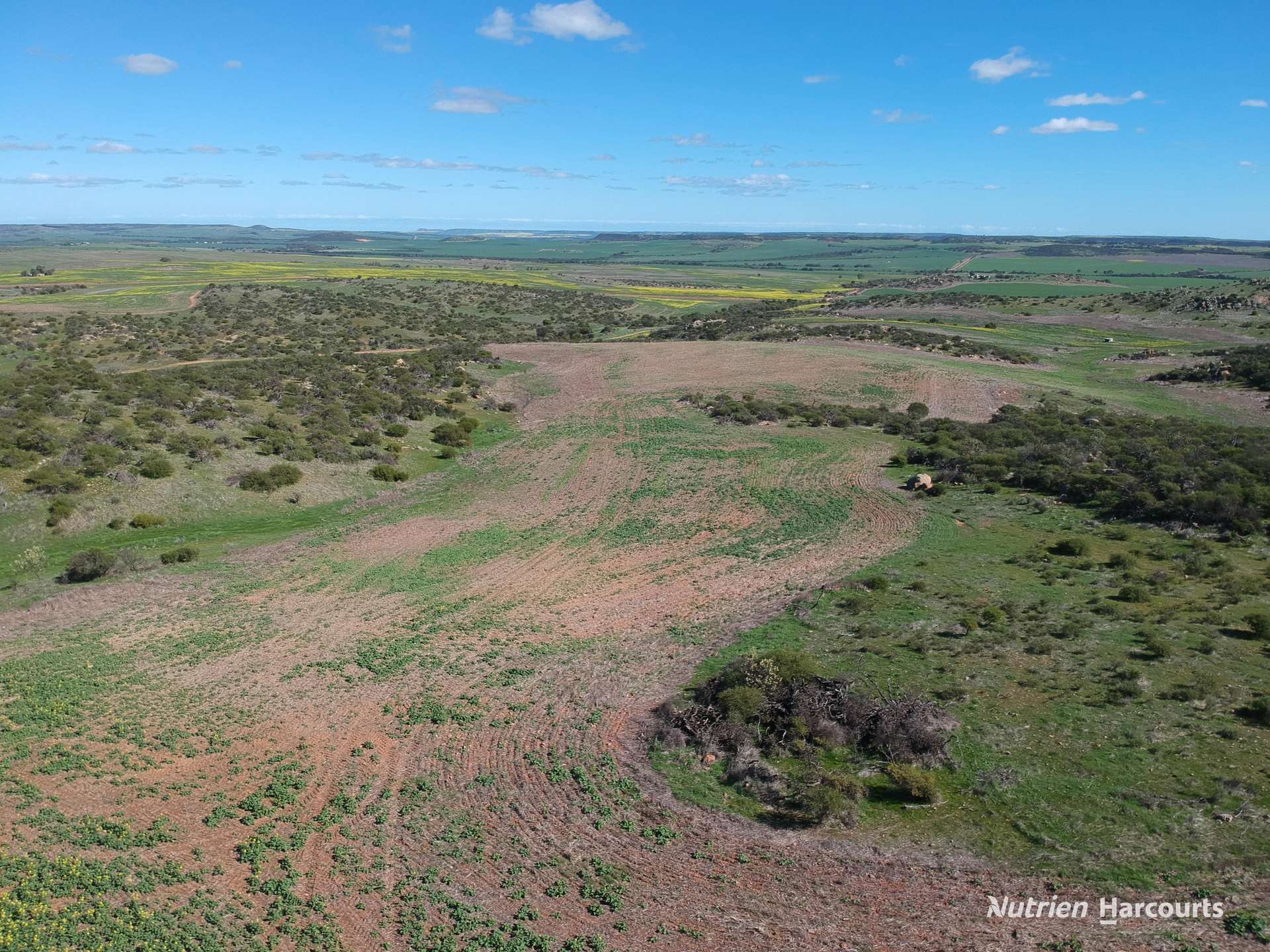 Lot 65 Forrester Road, Mount Erin For Sale by Farmbuy.com - image 12
