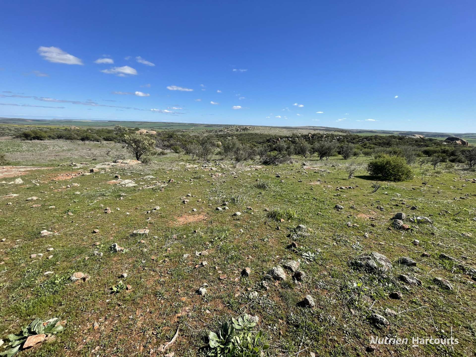 Lot 65 Forrester Road, Mount Erin For Sale by Farmbuy.com - image 3