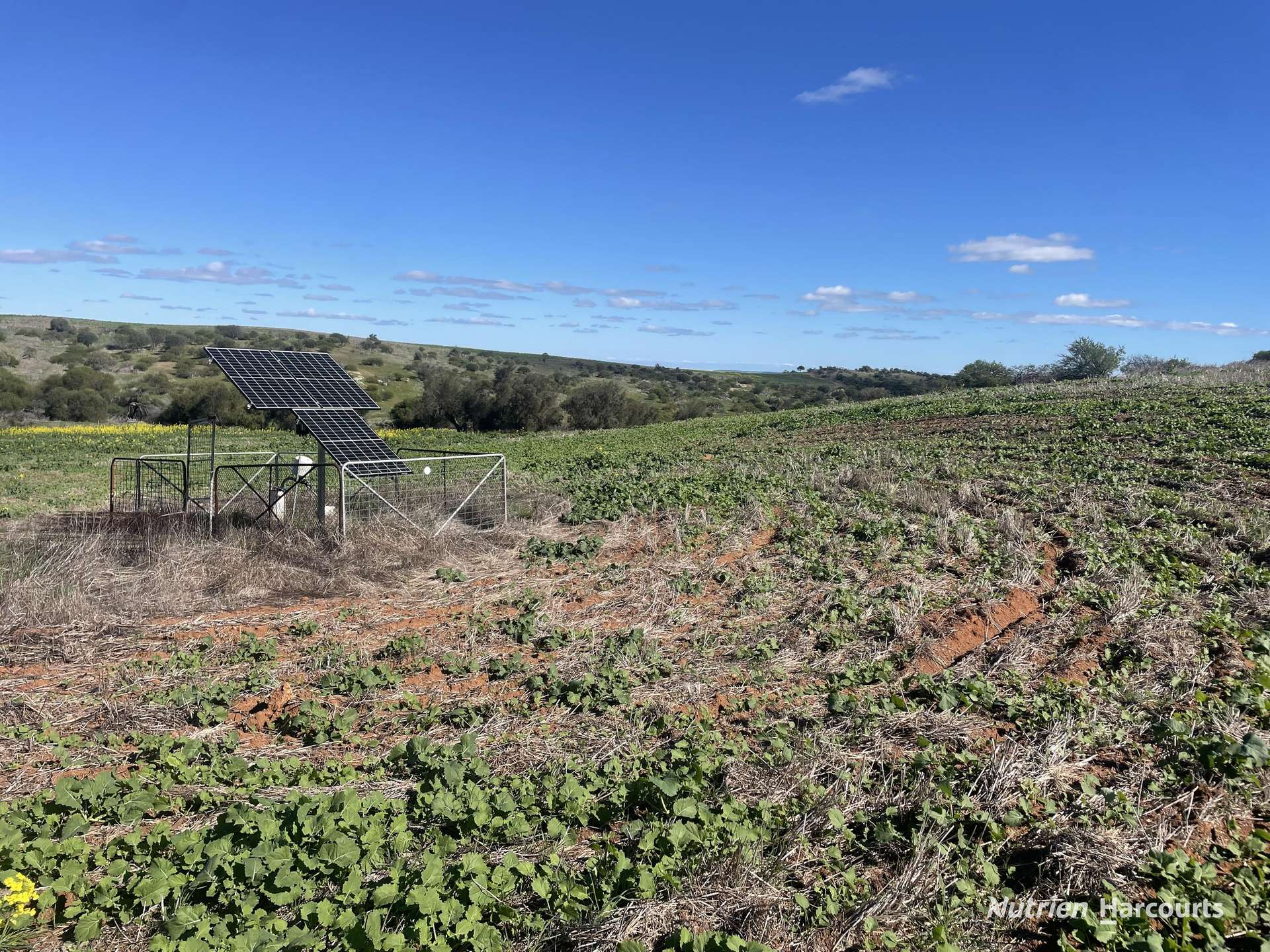 Lot 65 Forrester Road, Mount Erin For Sale by Farmbuy.com - image 6