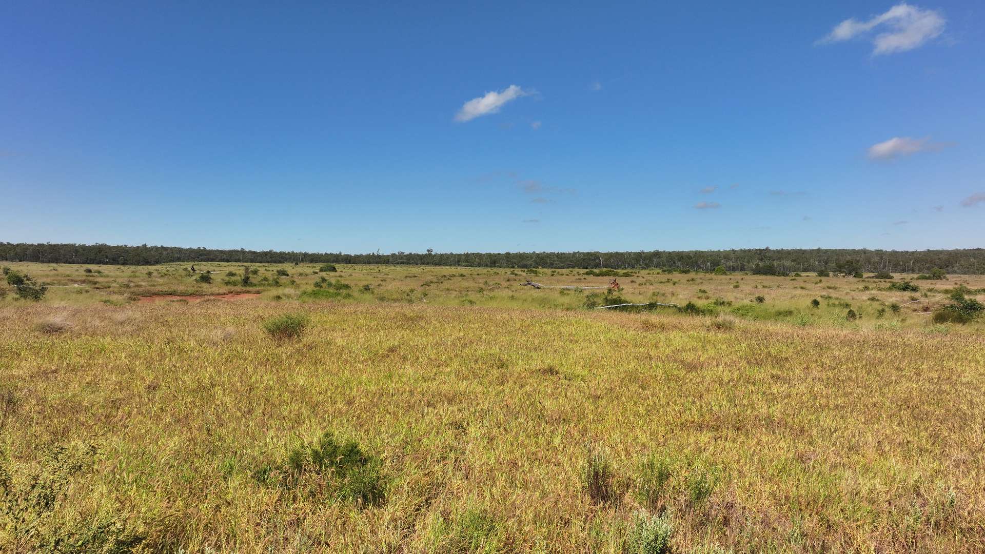 'Eastlands' Adams Road, Duaringa Auction by Farmbuy.com - image 8