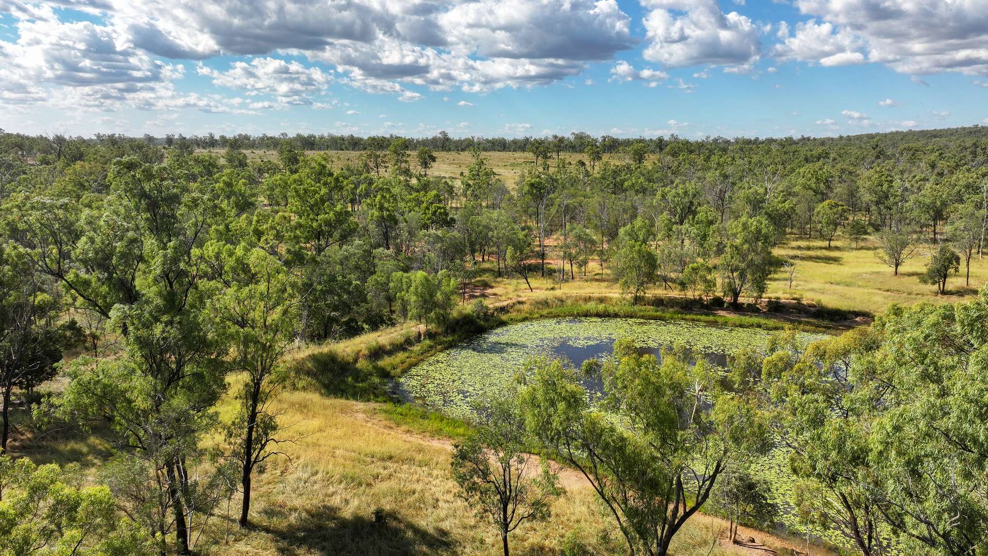 'Eastlands' Adams Road, Duaringa Auction by Farmbuy.com - image 19