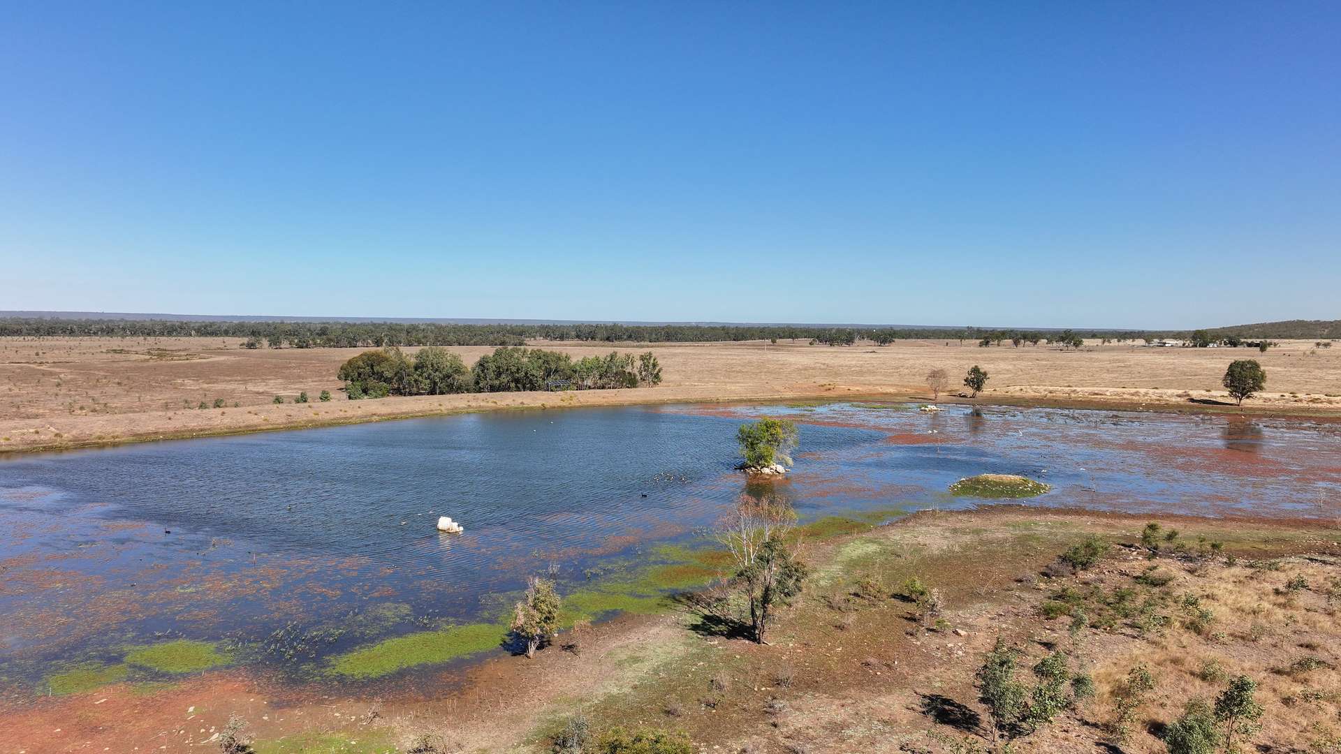 "Yatton" May Downs Road, Clarke Creek Auction by Farmbuy.com - image 8