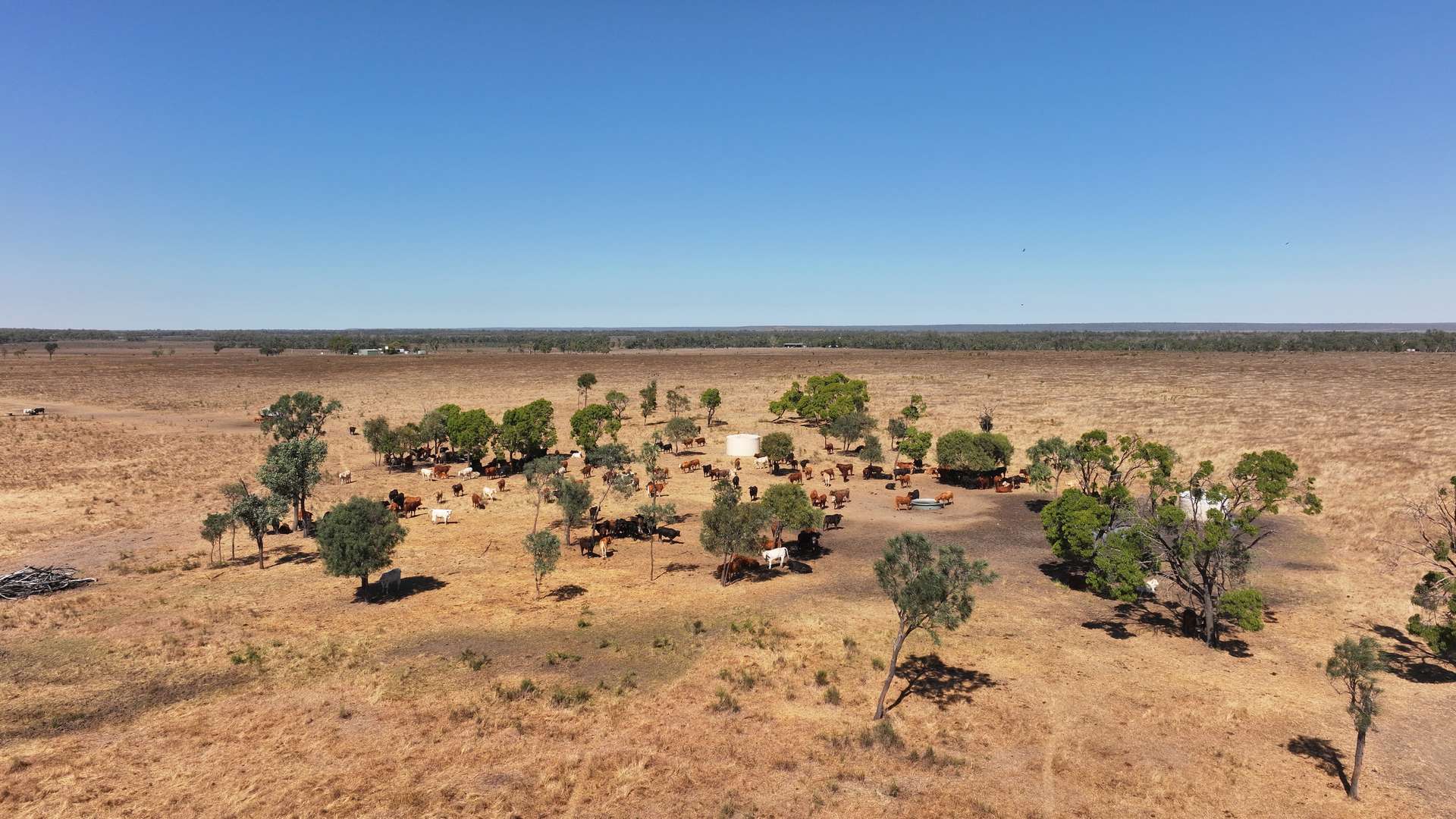 "Yatton" May Downs Road, Clarke Creek Auction by Farmbuy.com - image 12