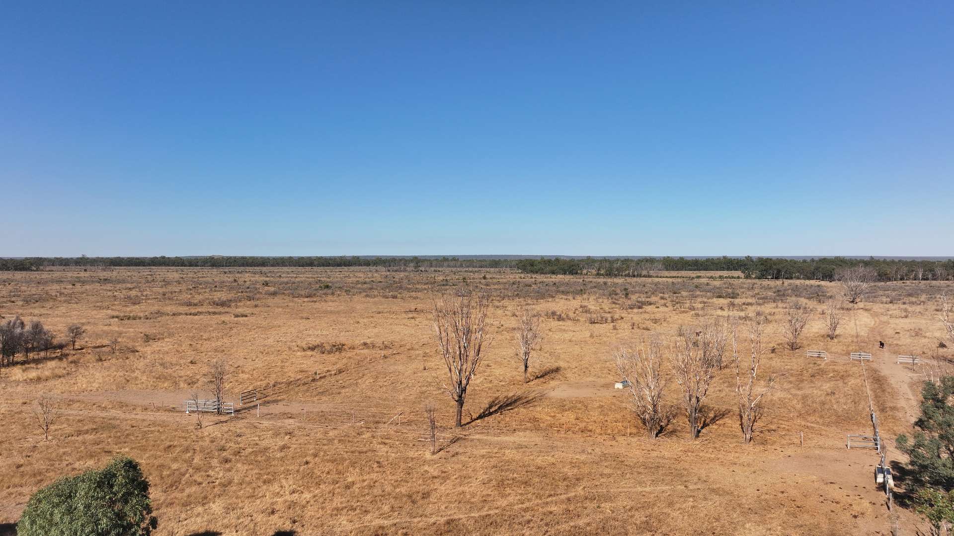 "Yatton" May Downs Road, Clarke Creek Auction by Farmbuy.com - image 14