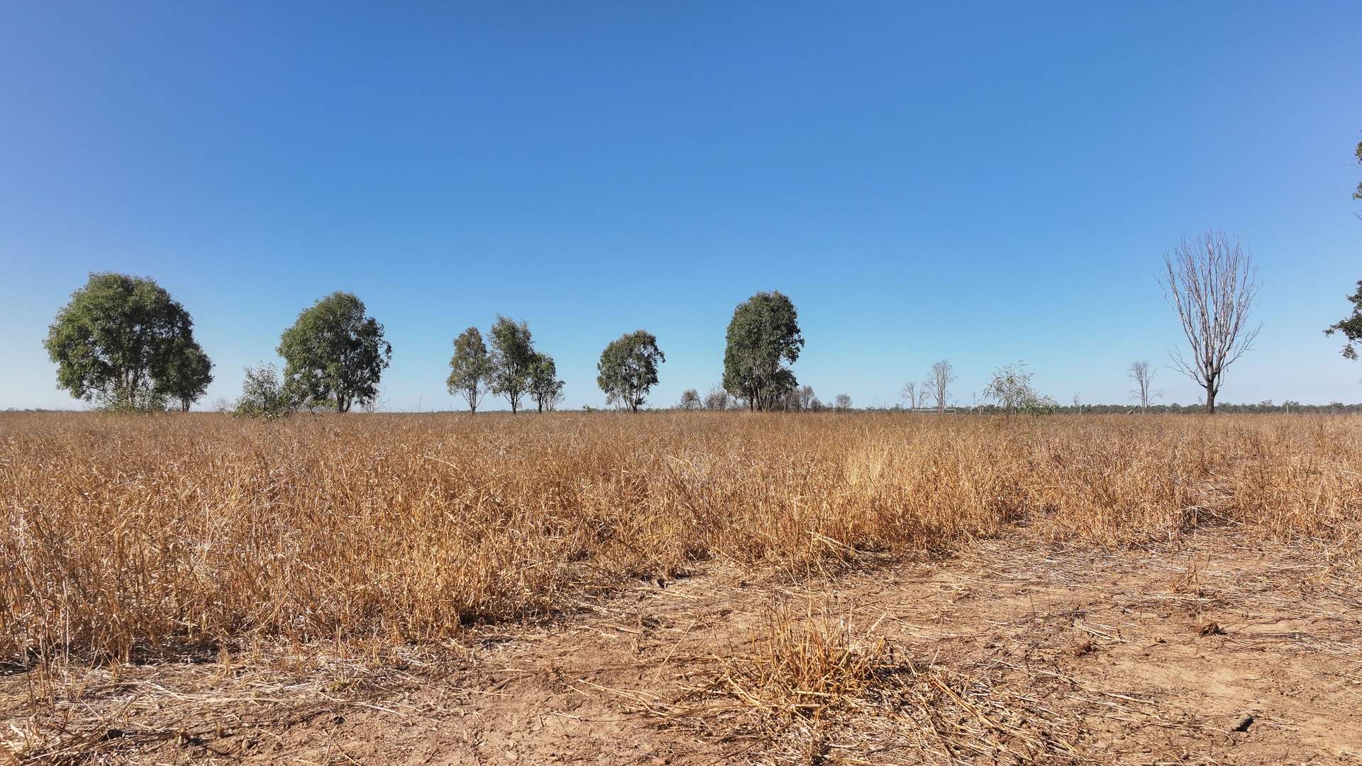 "Yatton" May Downs Road, Clarke Creek Auction by Farmbuy.com - image 15