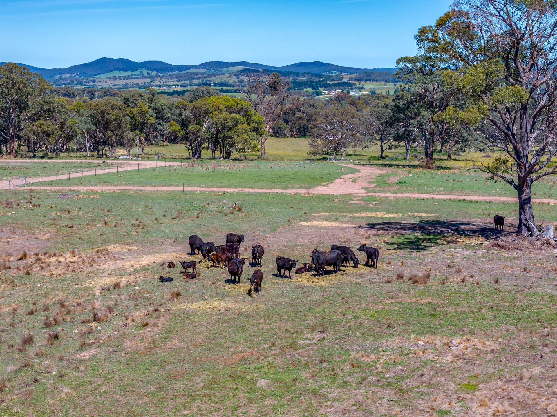 79/278 Campbells Lane Via Middle Arm, Goulburn For Sale by Farmbuy.com - image 8