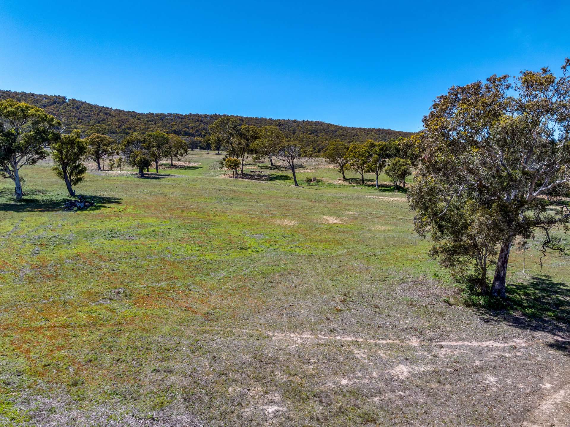 79/278 Campbells Lane Via Middle Arm, Goulburn For Sale by Farmbuy.com - image 3