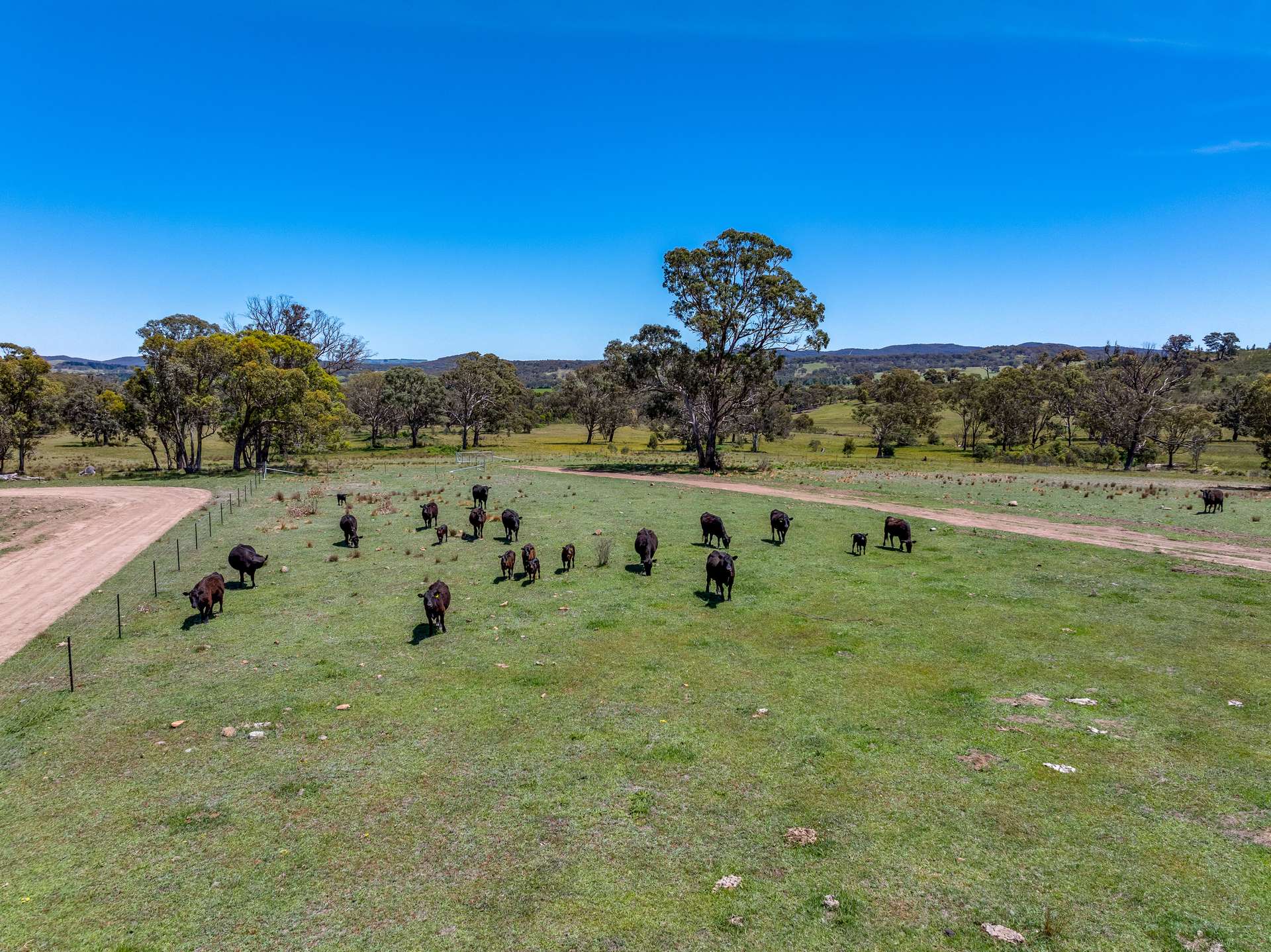 79/278 Campbells Lane Via Middle Arm, Goulburn For Sale by Farmbuy.com - image 2