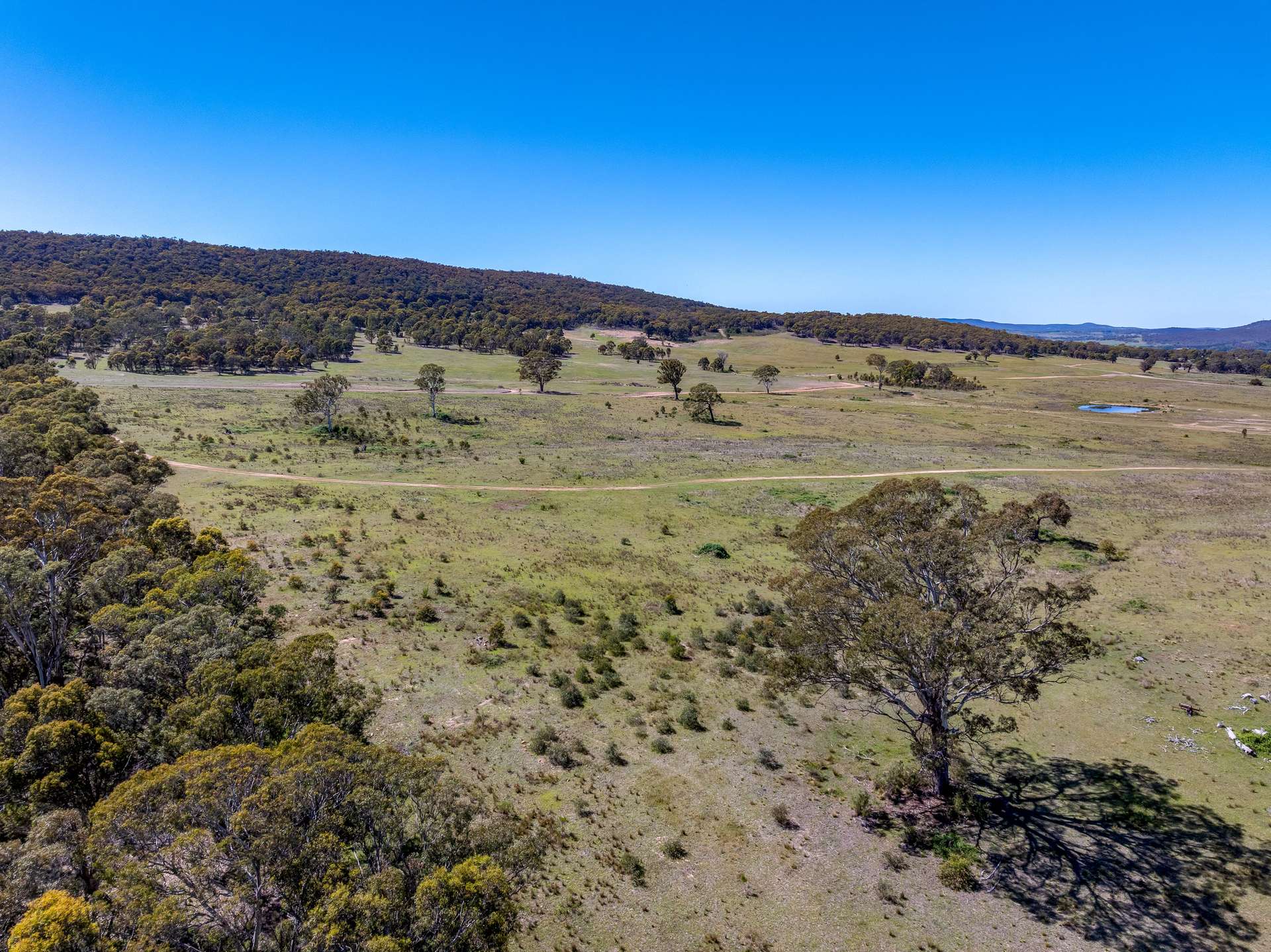 80/278 Campbells Lane Via Middle Arm, Goulburn For Sale by Farmbuy.com - image 4
