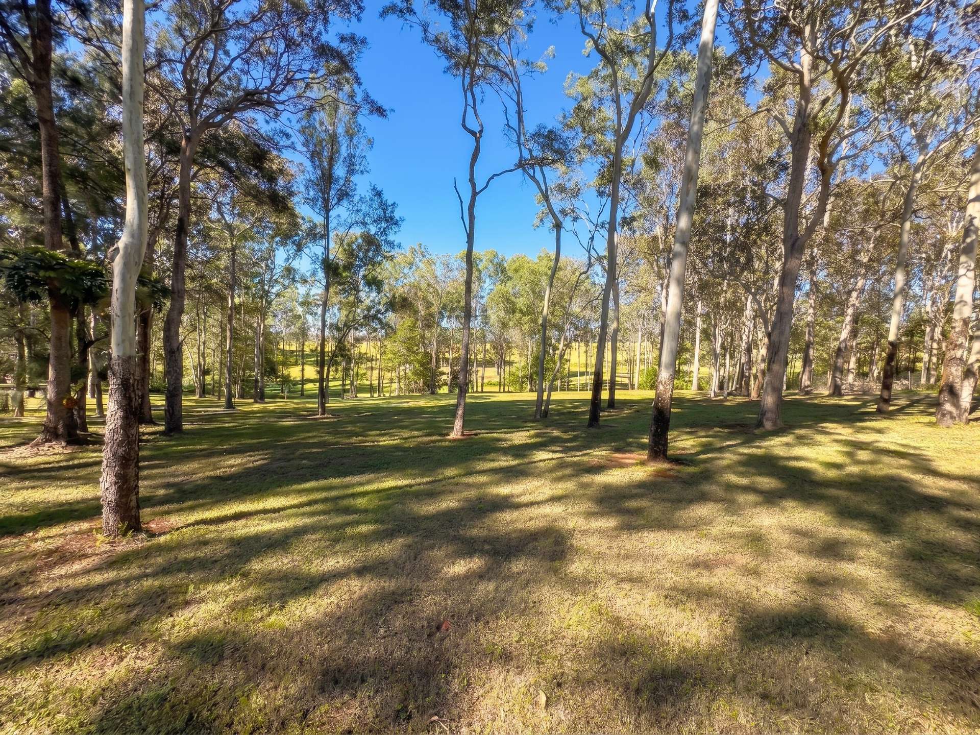 20 Bulankoff Road, Tolga For Sale by Farmbuy.com - image 8
