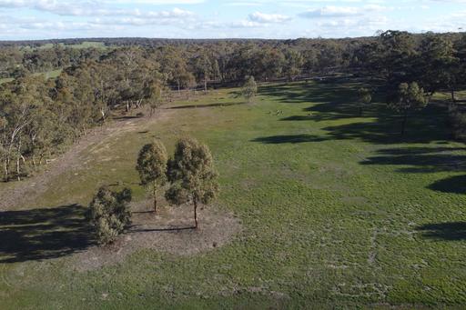 Farm For Sale - VIC - St Arnaud - 3478 - Rare Residential Opportunity in St Arnaud 