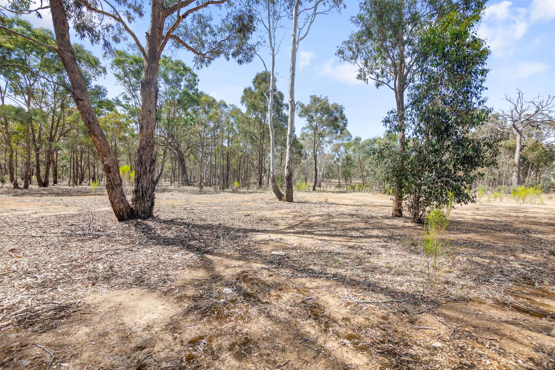 3 Deason Road, Stuart Mill For Sale by Farmbuy.com - image 17