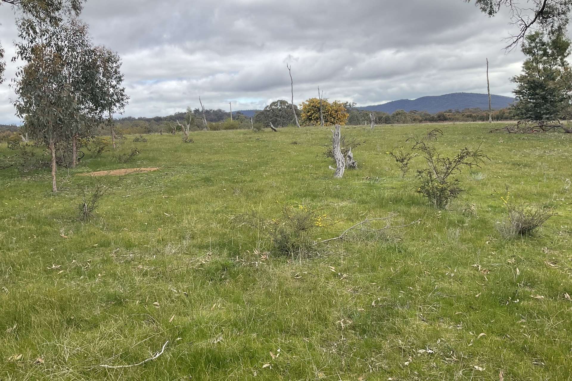 Redbank-Barkly Road, Barkly For Sale by Farmbuy.com - image 22