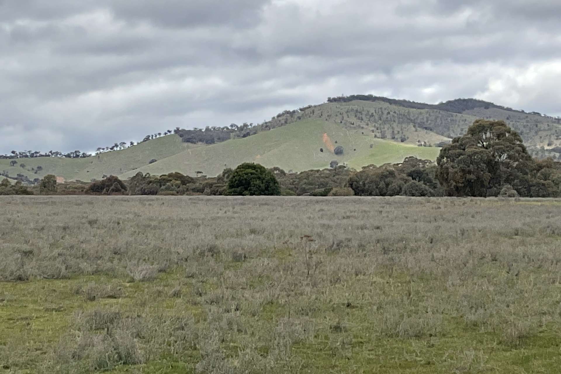 Redbank-Barkly Road, Barkly For Sale by Farmbuy.com - image 2