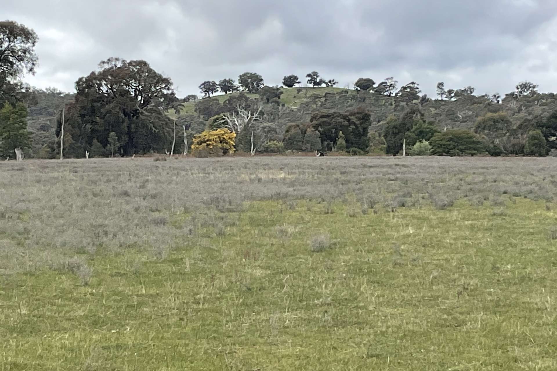 Redbank-Barkly Road, Barkly For Sale by Farmbuy.com - image 15