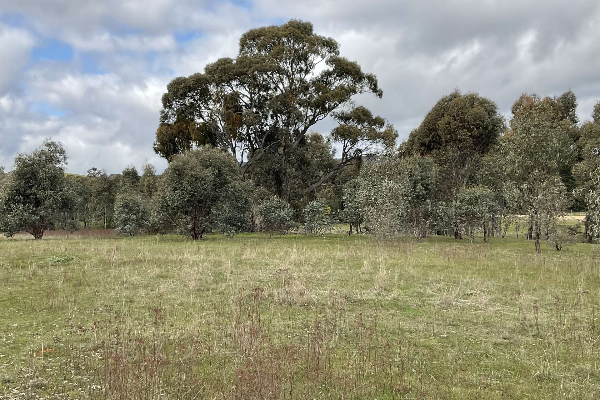 Redbank-Barkly Road, Barkly For Sale by Farmbuy.com - image 4