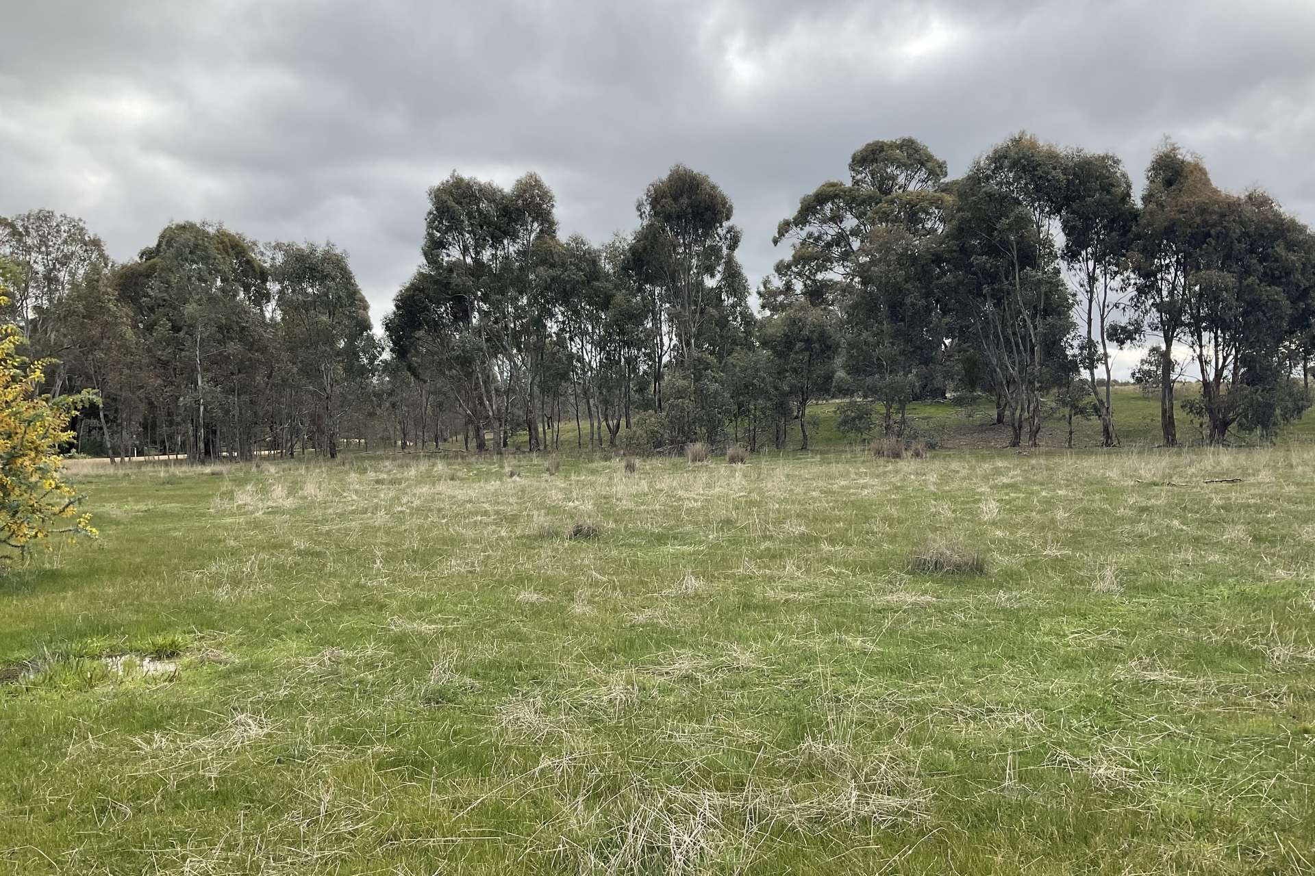 Redbank-Barkly Road, Barkly For Sale by Farmbuy.com - image 9