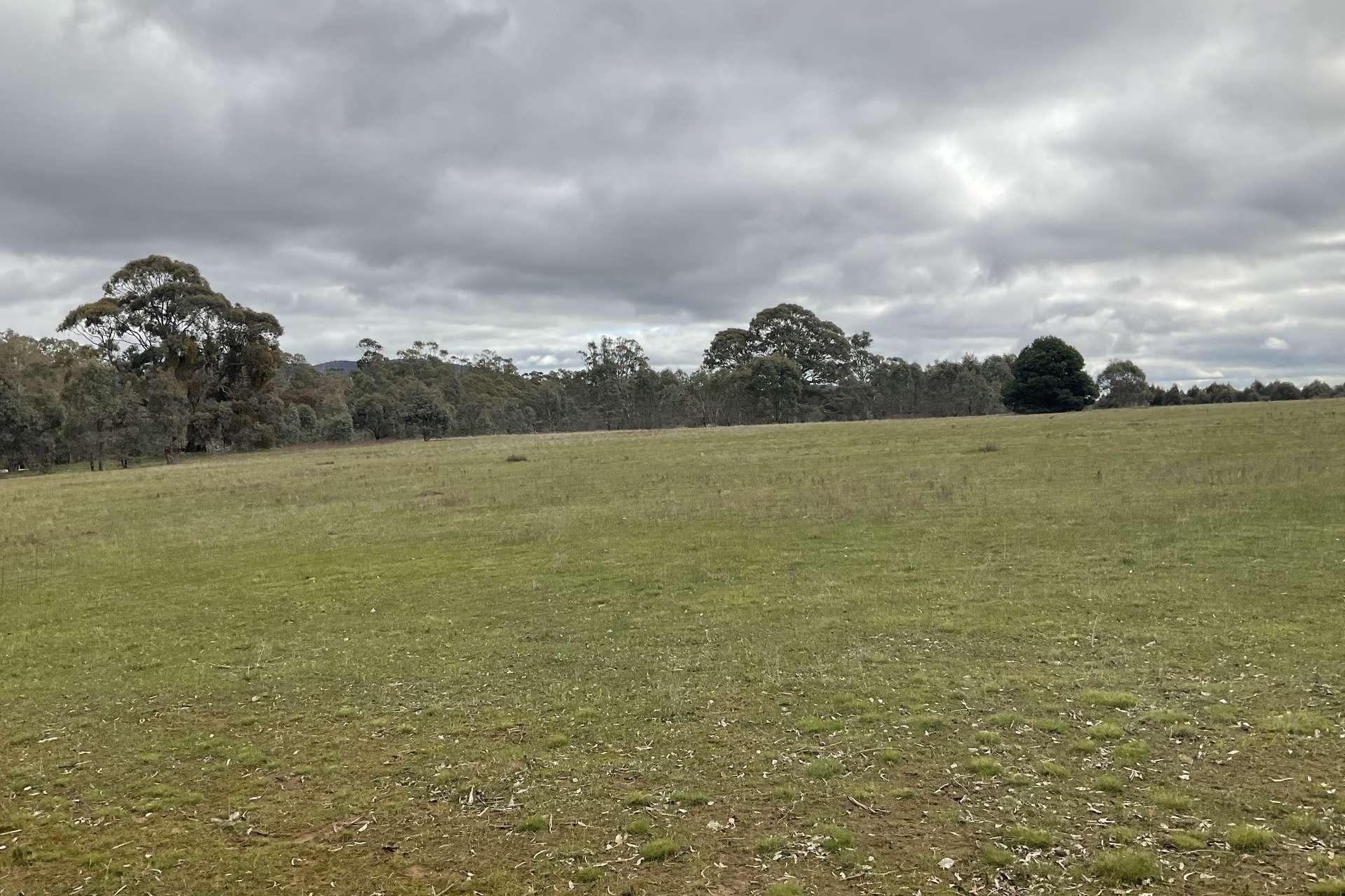 Redbank-Barkly Road, Barkly For Sale by Farmbuy.com - image 3