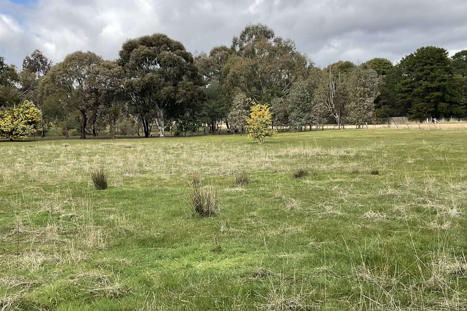 Redbank-Barkly Road, Barkly For Sale by Farmbuy.com - image 13