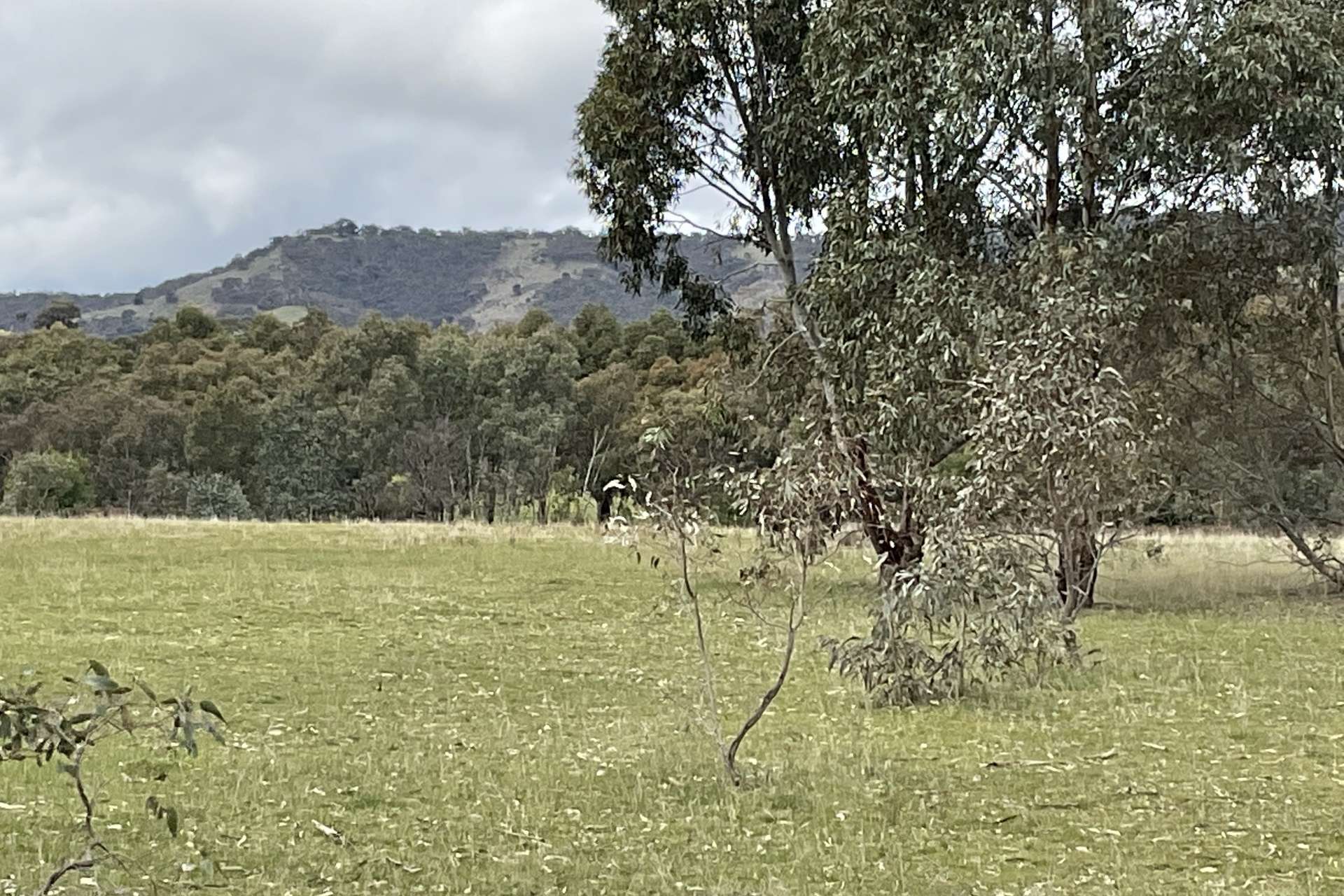 Redbank-Barkly Road, Barkly For Sale by Farmbuy.com - image 17