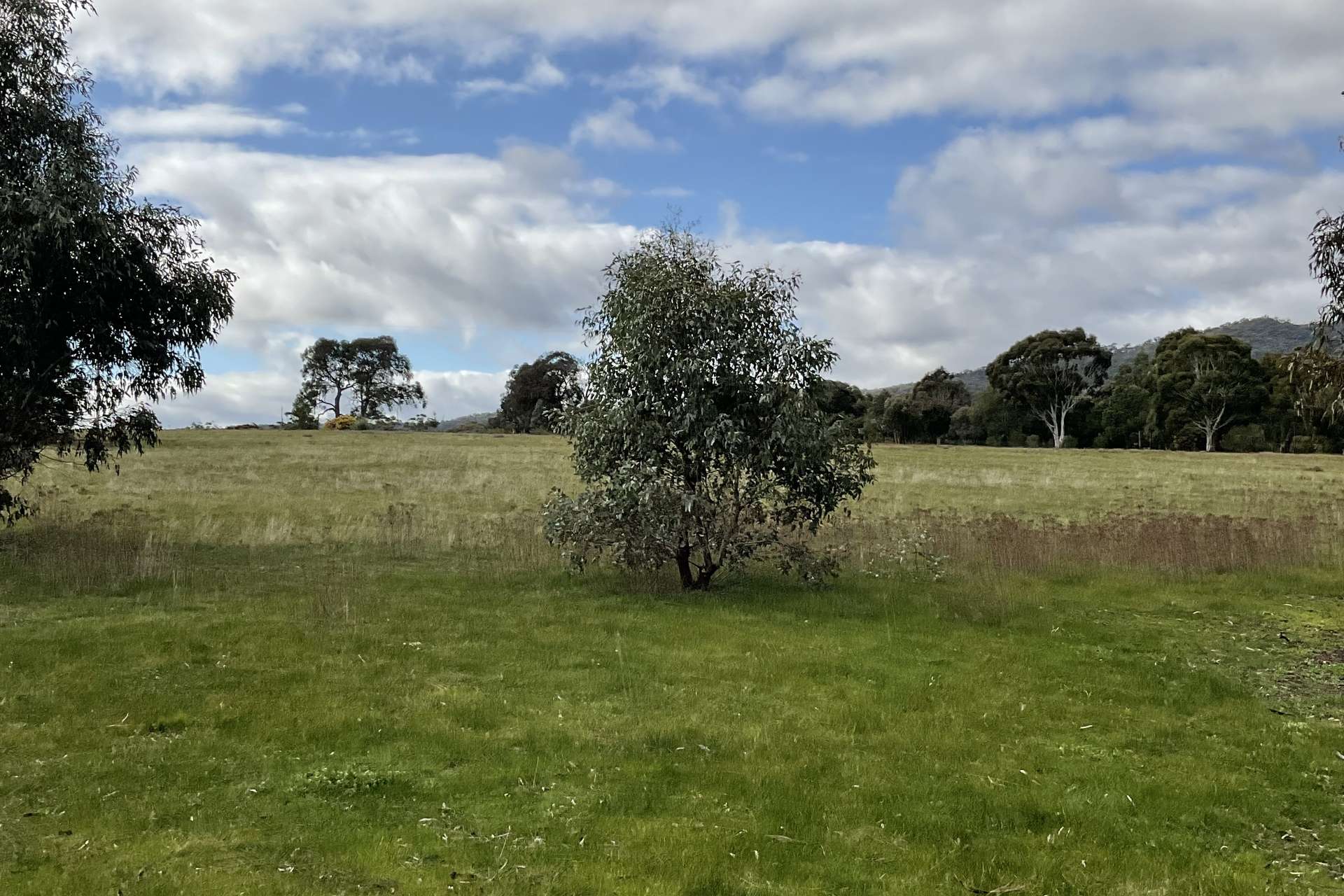 Redbank-Barkly Road, Barkly For Sale by Farmbuy.com - image 18