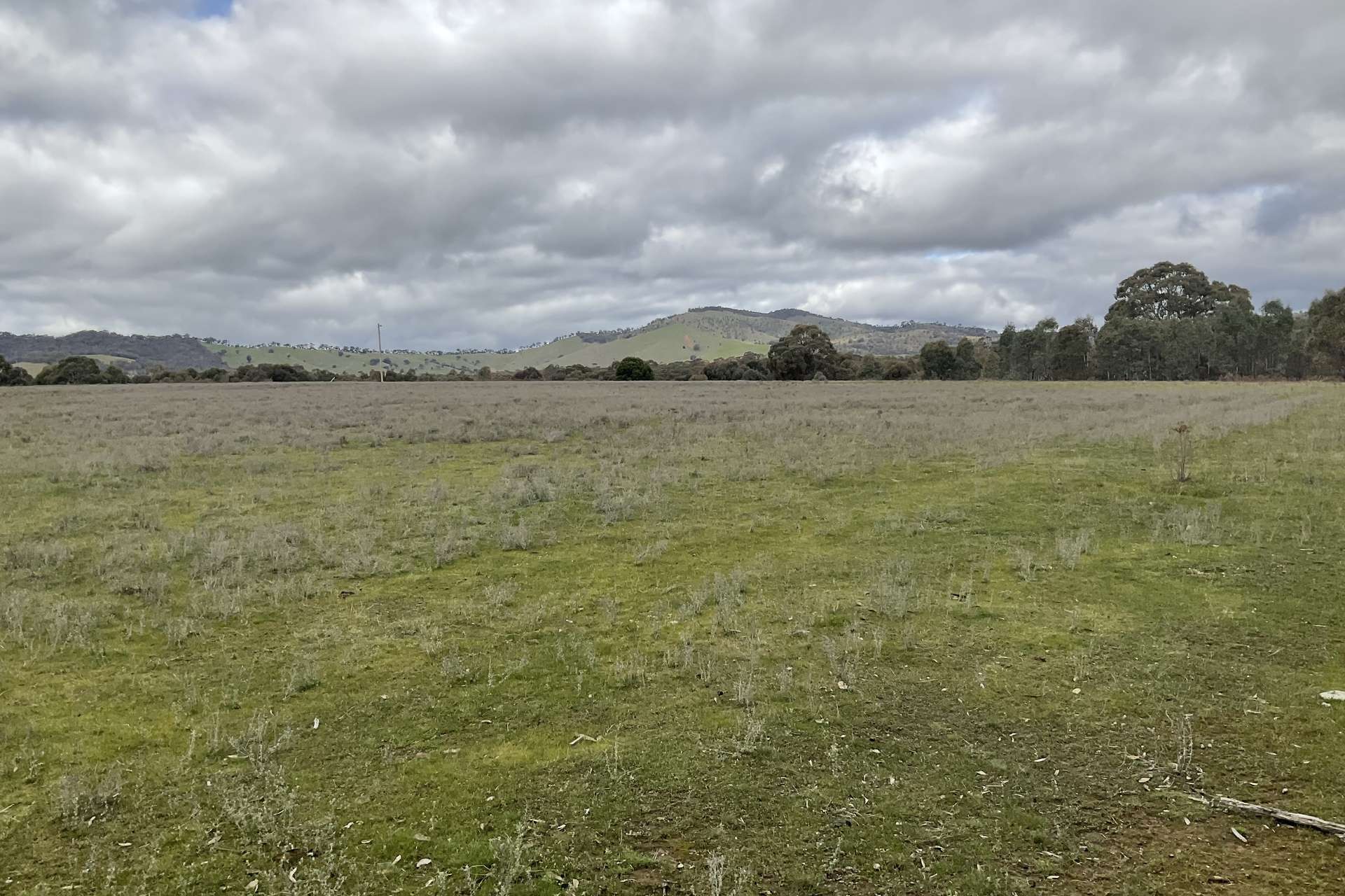 Redbank-Barkly Road, Barkly For Sale by Farmbuy.com - image 19