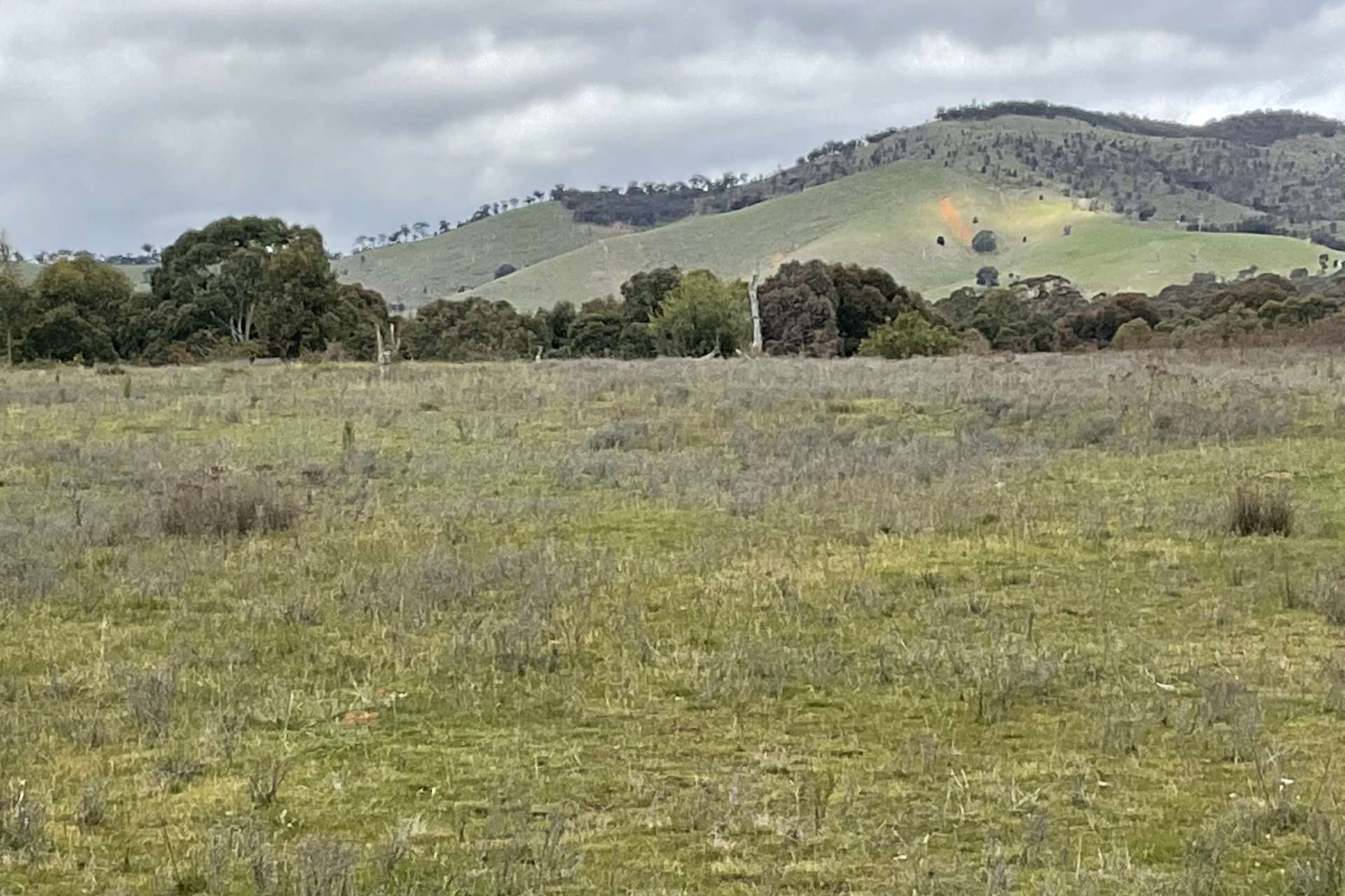 Redbank-Barkly Road, Barkly For Sale by Farmbuy.com - image 20